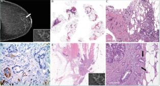 Histocytological and Molecular Pathology img