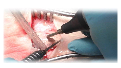 Laboratorio Biomateriali