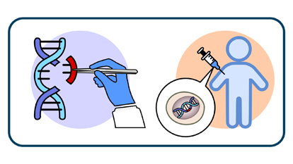 Gene Editing for Rare Diseases